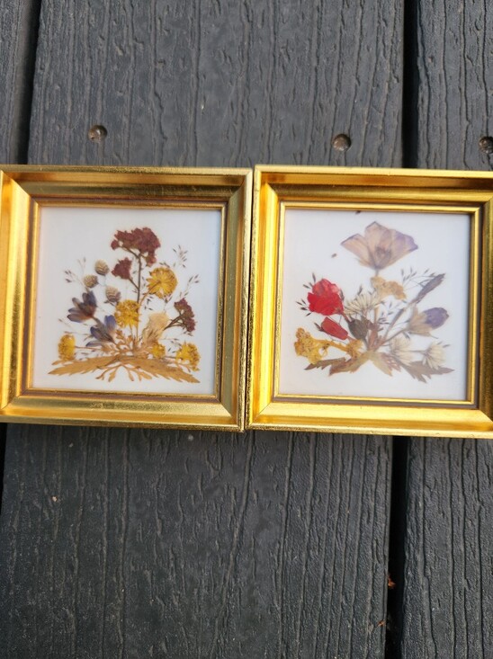 reichlin Other - Pressed Flower Wall Art Set in Gold Frame - Red, Yellow, Purple Floral